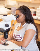 student looks through microscope